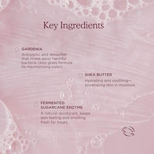 HANNI Cocoon Cleanse Serum with Shea Butter & Eucalyptus – Soap-Free Hydrating Body Wash & Shaving Cream (3.7 oz) Avelisse