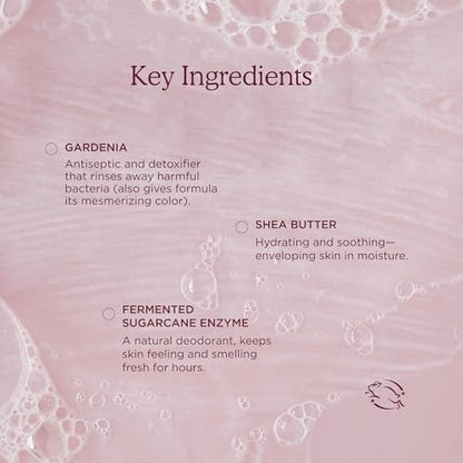 HANNI Cocoon Cleanse Serum with Shea Butter & Eucalyptus – Soap-Free Hydrating Body Wash & Shaving Cream (3.7 oz) Avelisse