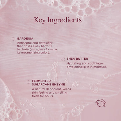 HANNI Cocoon Cleanse Serum with Shea Butter & Eucalyptus – Soap-Free Hydrating Body Wash & Shaving Cream (3.7 oz) Avelisse