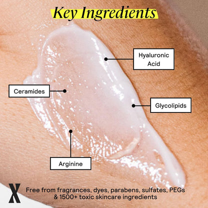 Untoxicated Moisturizing Lotion - Daily Face Moisturizer & Body Lotion for Sensitive Skin with Ceramides & Hyaluronic Acid, Oil-Free, Fragrance-Free, Non-Comedogenic, 10 oz Avelisse