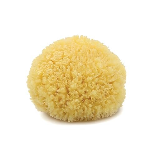 Neptune Caribbean Sea Sponge, Medium (Approx. 5-6 Inch), Hand Processed, Natural & Eco-Friendly Bath Sponge - görsel 1