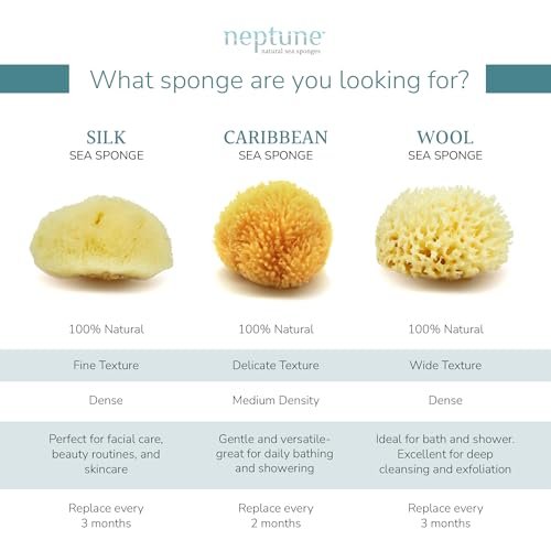 Neptune Caribbean Sea Sponge, Medium (Approx. 5-6 Inch), Hand Processed, Natural & Eco-Friendly Bath Sponge - görsel 7