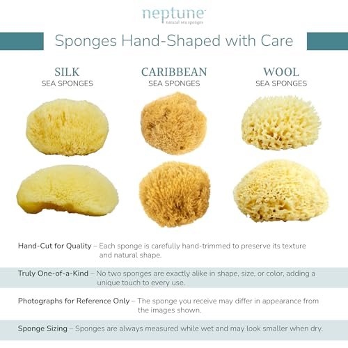 Neptune Caribbean Sea Sponge, Medium (Approx. 5-6 Inch), Hand Processed, Natural & Eco-Friendly Bath Sponge - görsel 5