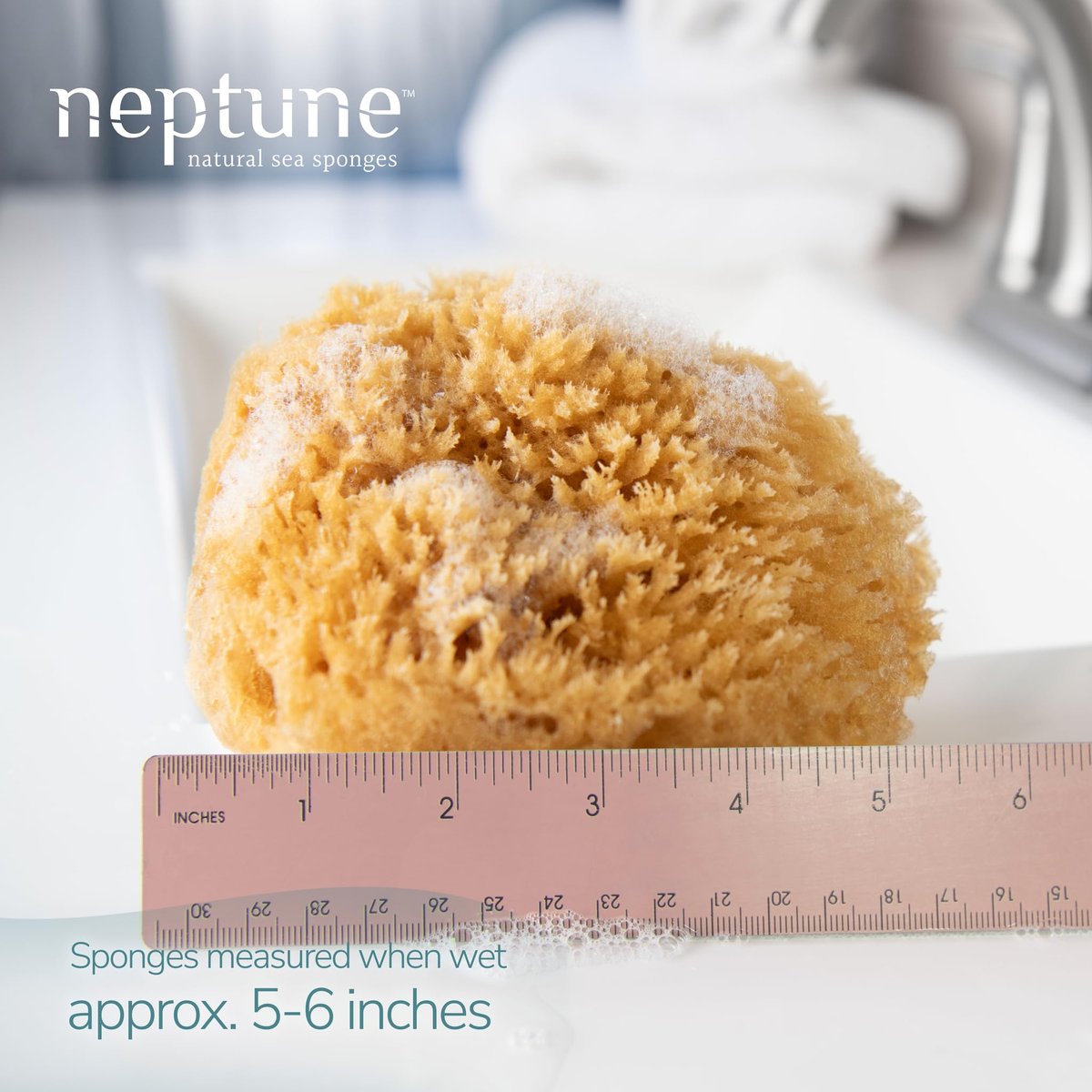 Neptune Caribbean Sea Sponge, Medium (Approx. 5-6 Inch), Hand Processed, Natural & Eco-Friendly Bath Sponge - görsel 4
