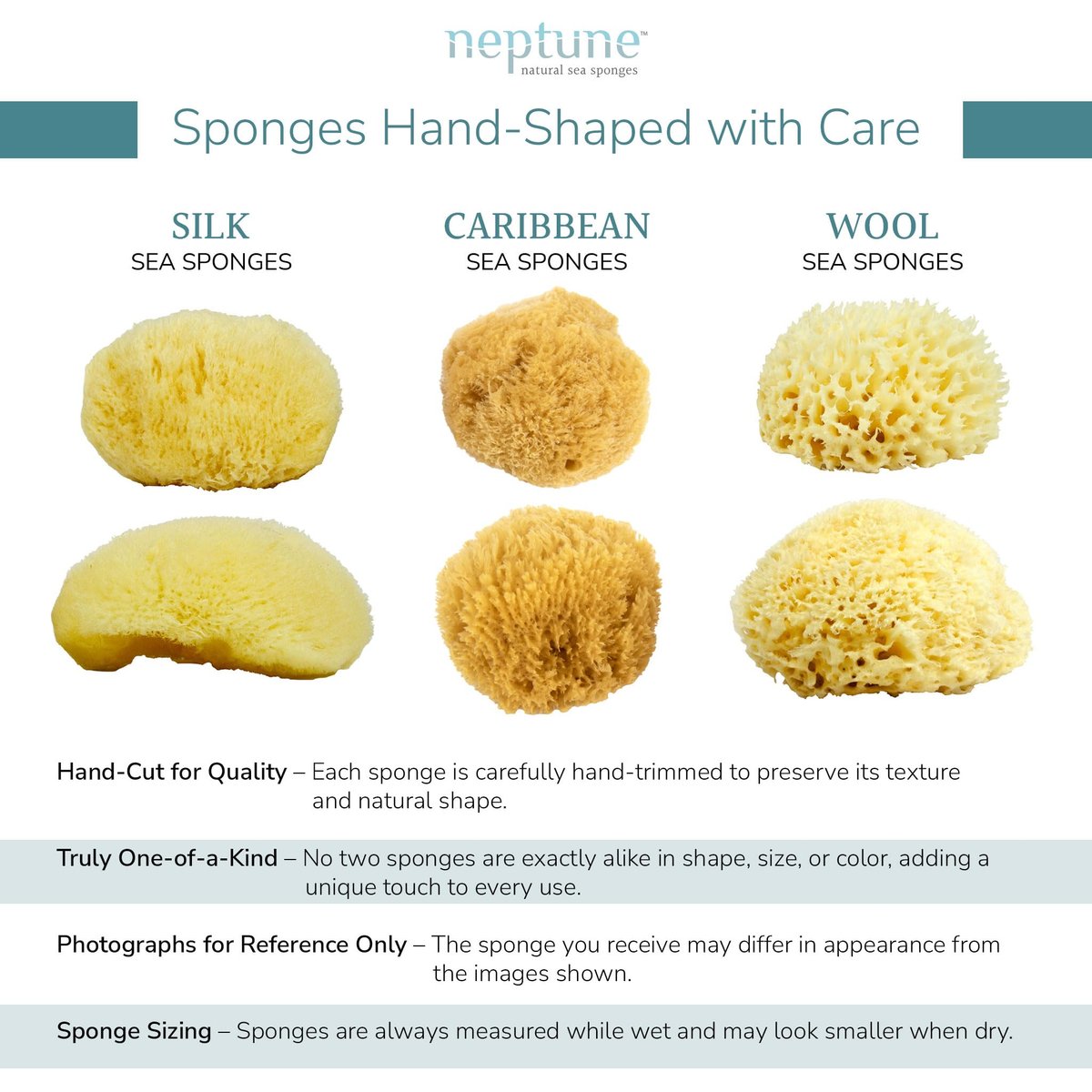 Neptune Caribbean Sea Sponge, Medium (Approx. 5-6 Inch), Hand Processed, Natural & Eco-Friendly Bath Sponge - görsel 6
