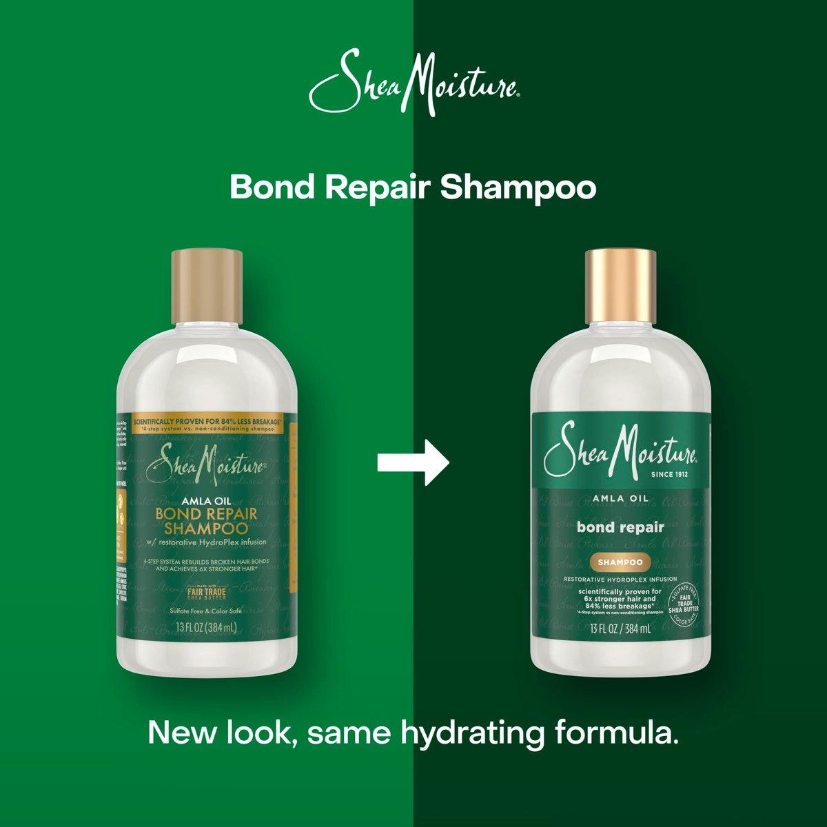 Shea Moisture Bond Repair Shampoo with Amla Oil & Hydroplex Technology - Restorative HydroPlex Infusion, Deeply Cleanses & Removes Build-Up, 13 Fl Oz Avelisse