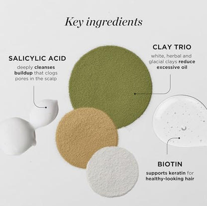 Dr. Groot Purifying Clay Shampoo - Korean Hair Care for Oily Scalp with Biotin, Rosemary Oil & Salicylic Acid, Kbeauty Scalp Revitalizing Solution, 13.01 Fl Oz Avelisse