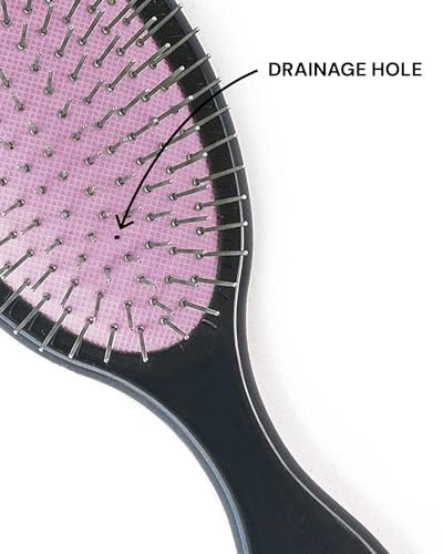 Dom Dom Detangling Brush - Purple - Gentle Hair Detangler for All Hair Types - Anti-Static Shower Brush for Women, Men, Kids Avelisse