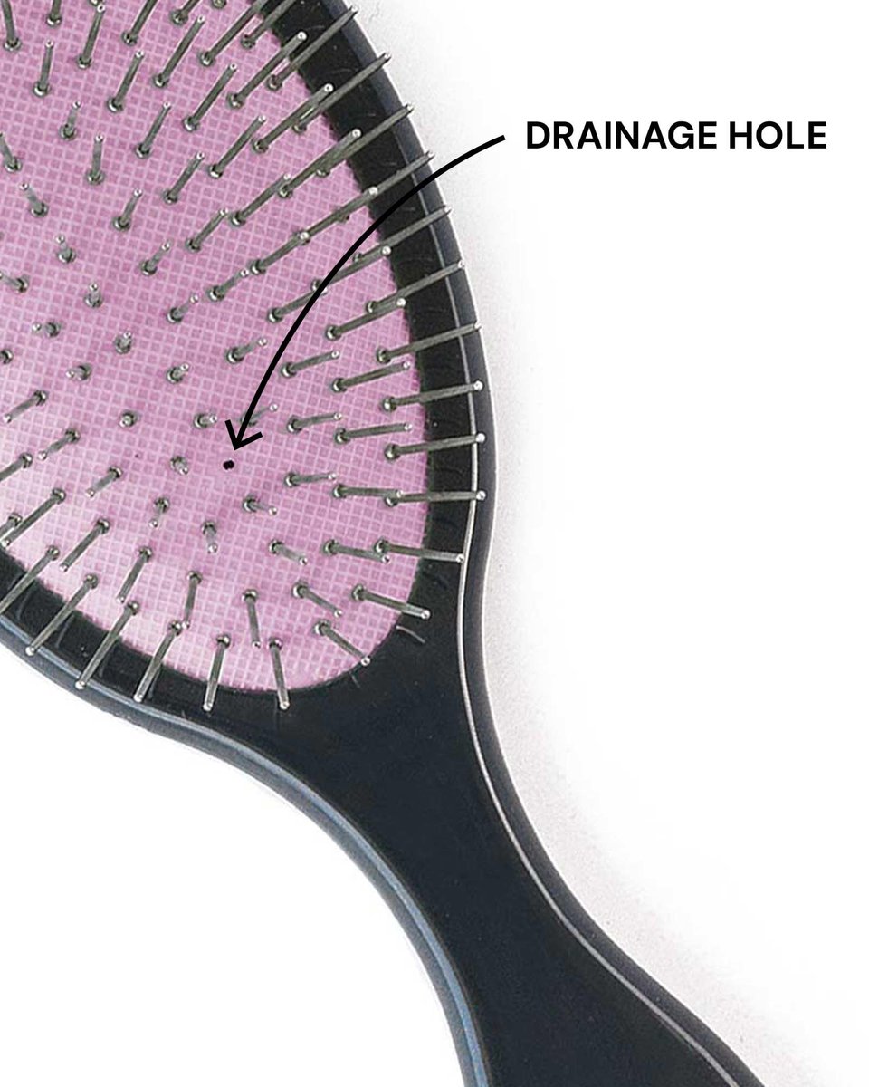 Dom Dom Detangling Brush - Purple - Gentle Hair Detangler for All Hair Types - Anti-Static Shower Brush for Women, Men, Kids Avelisse