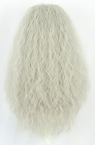 Karlery Men Long Curly Grey Wizard Wig and Fake Beard Halloween Cosplay Costume Accessory - görsel 8
