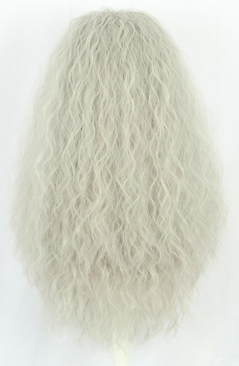 Karlery Men Long Curly Grey Wizard Wig and Fake Beard Halloween Cosplay Costume Accessory - görsel 7