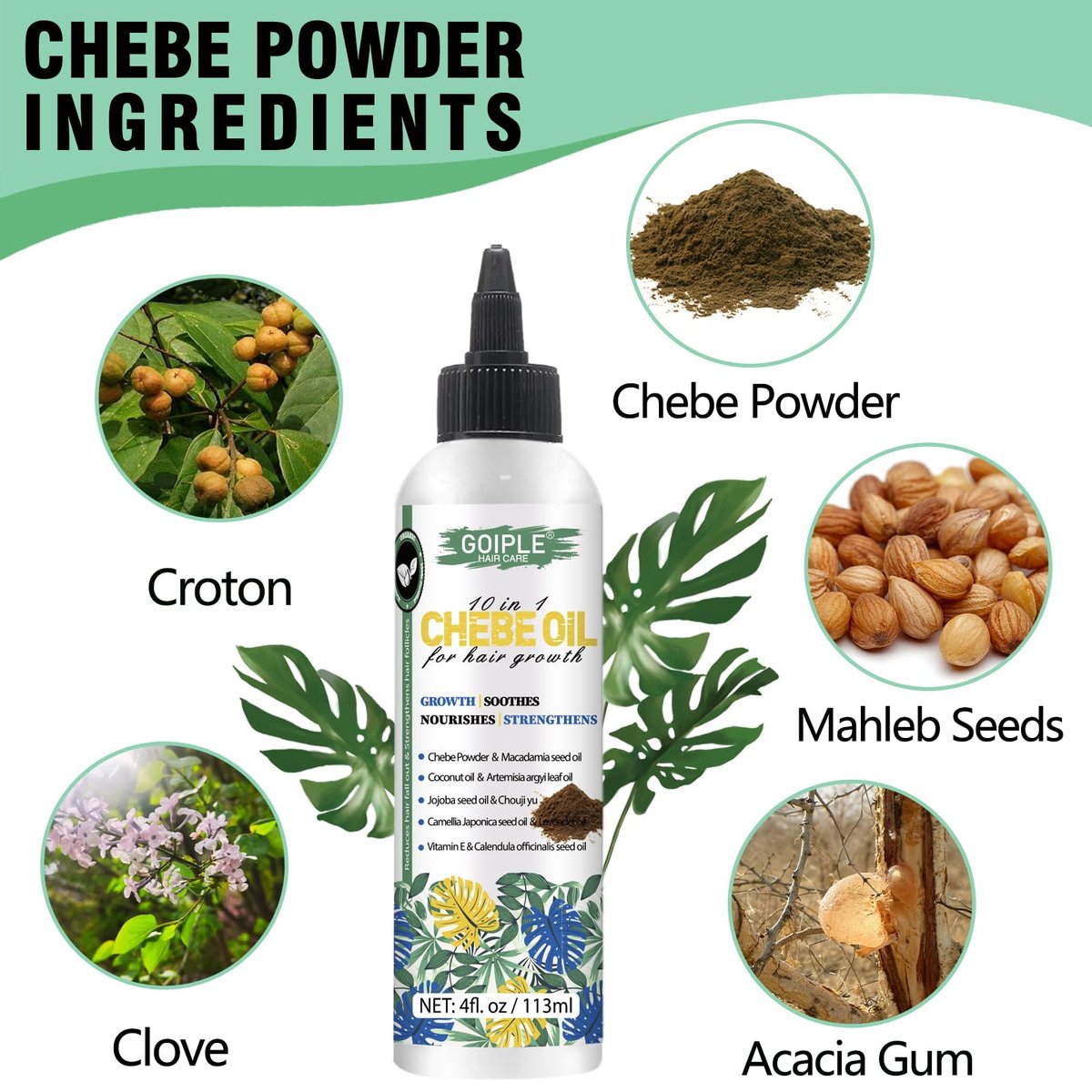 Natural 10 in 1 Chebe Oil Moisturizer for Scalp - African Chebe Powder for Stronger, Thicker, Longer Hair - All Hair Types (2 Pack) - görsel 3
