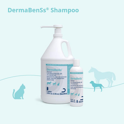 DermaBenSs Shampoo for Dogs, Cats and Horses – 12 oz Gentle Liquid Formula Avelisse