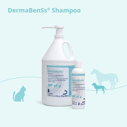 DermaBenSs Shampoo for Dogs, Cats and Horses – 12 oz Gentle Liquid Formula Avelisse
