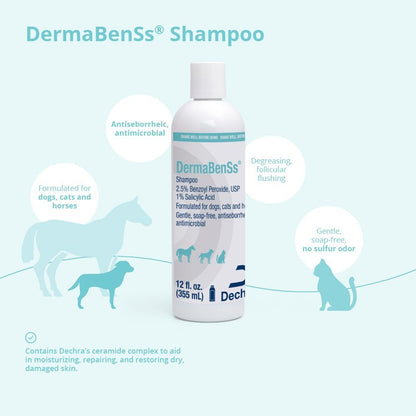 DermaBenSs Shampoo for Dogs, Cats and Horses – 12 oz Gentle Liquid Formula Avelisse