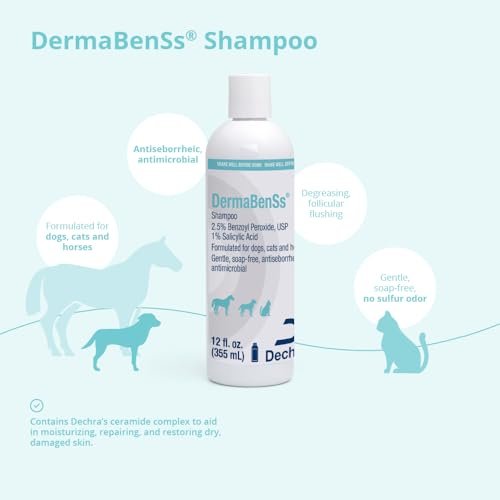 DermaBenSs Shampoo for Dogs, Cats and Horses – 12 oz Gentle Liquid Formula Avelisse