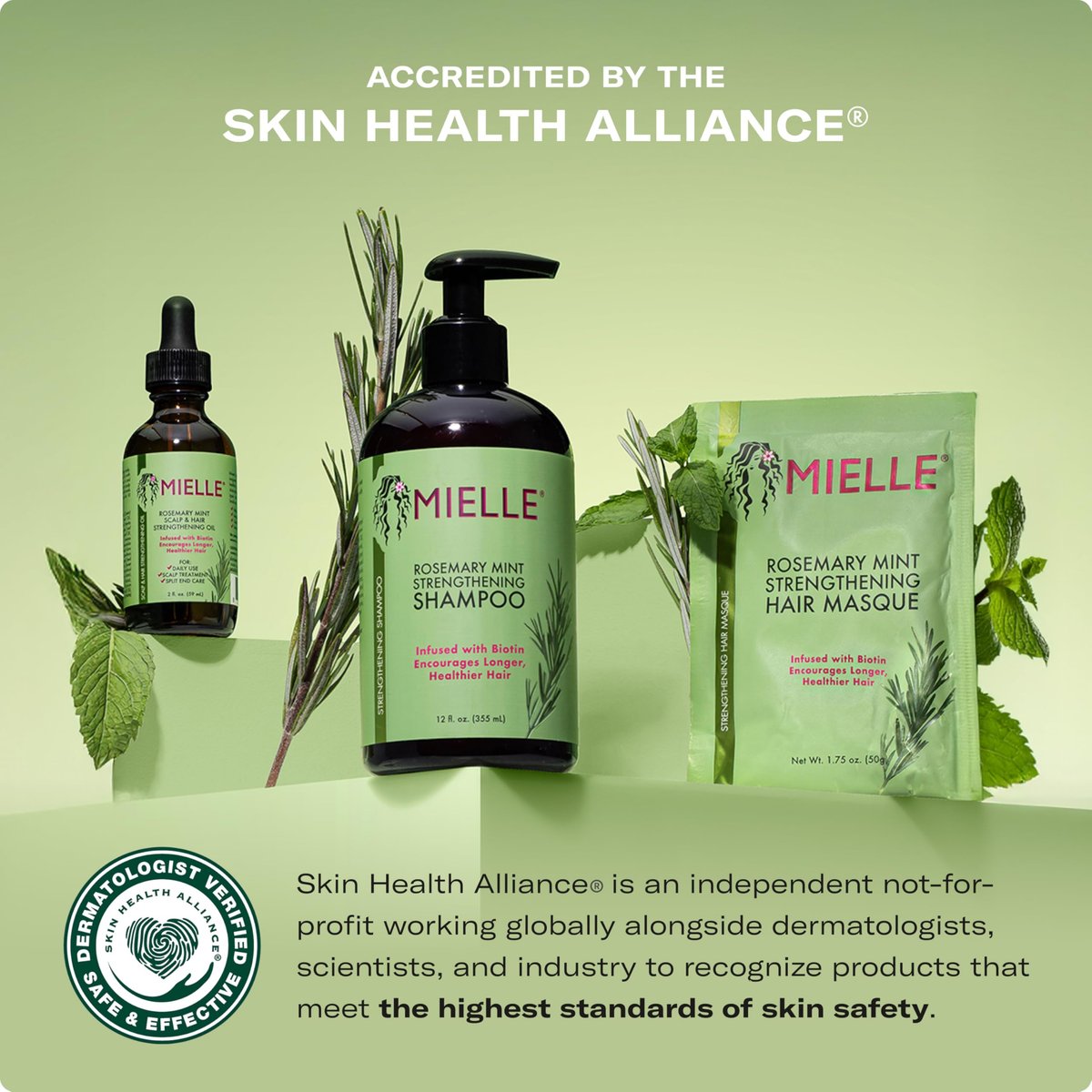 Mielle Organics Rosemary & Mint Hair Pomade - Conditioning Natural Hair Moisturizer for Scalp Health, Wave Definition, and Shine (5 oz) - görsel 3