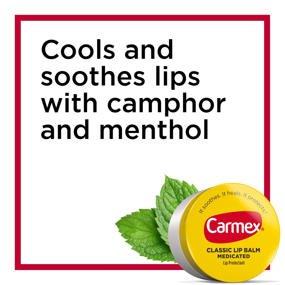 Carmex Medicated Lip Balm Jar - 0.25 oz (4 Packs of 3) - Intensive Moisture for Dry, Chapped Lips Avelisse
