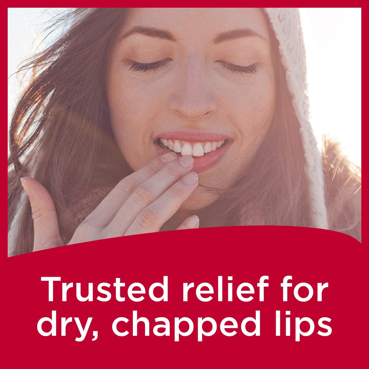 Carmex Medicated Lip Balm Jar - 0.25 oz (4 Packs of 3) - Intensive Moisture for Dry, Chapped Lips Avelisse