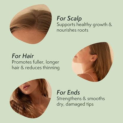 Nature Spell Rosemary Oil for Hair Growth with Root Comb Applicator – Pre-Diluted Hair & Scalp Oil for Dry, Damaged Hair – 5.07 Fl Oz Avelisse