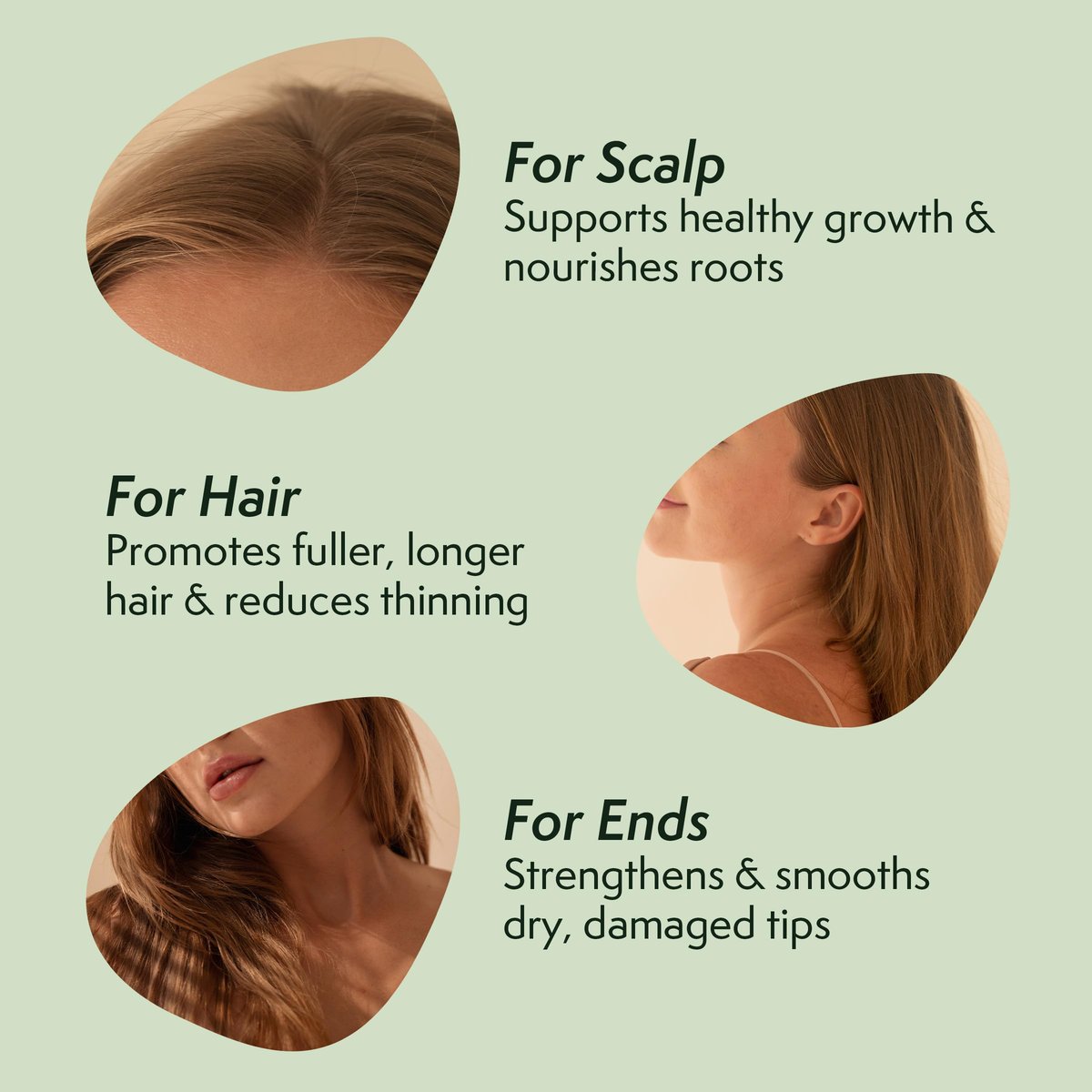Nature Spell Rosemary Oil for Hair Growth with Root Comb Applicator – Pre-Diluted Hair & Scalp Oil for Dry, Damaged Hair – 5.07 Fl Oz Avelisse