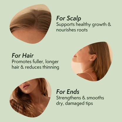 Nature Spell Rosemary Oil for Hair Growth with Root Comb Applicator – Pre-Diluted Hair & Scalp Oil for Dry, Damaged Hair – 5.07 Fl Oz Avelisse