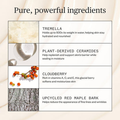 Ursa Major Alpine Rich Cream - Deeply Hydrating Natural Face Moisturizer, Vegan & Cruelty-Free, 1.69 oz Avelisse