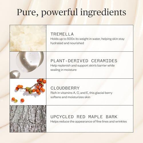 Ursa Major Alpine Rich Cream - Deeply Hydrating Natural Face Moisturizer, Vegan & Cruelty-Free, 1.69 oz Avelisse
