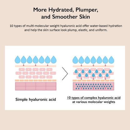 HARUHARU wonder Black Rice 10 Hyaluronic Cream Unscented - 1.6 fl oz Vegan Cruelty-Free Korean Moisturizer Avelisse