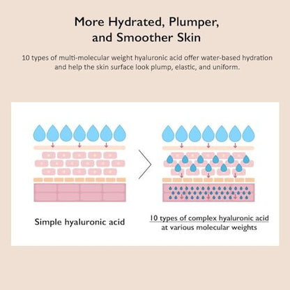 HARUHARU wonder Black Rice 10 Hyaluronic Cream Unscented - 1.6 fl oz Vegan Cruelty-Free Korean Moisturizer Avelisse