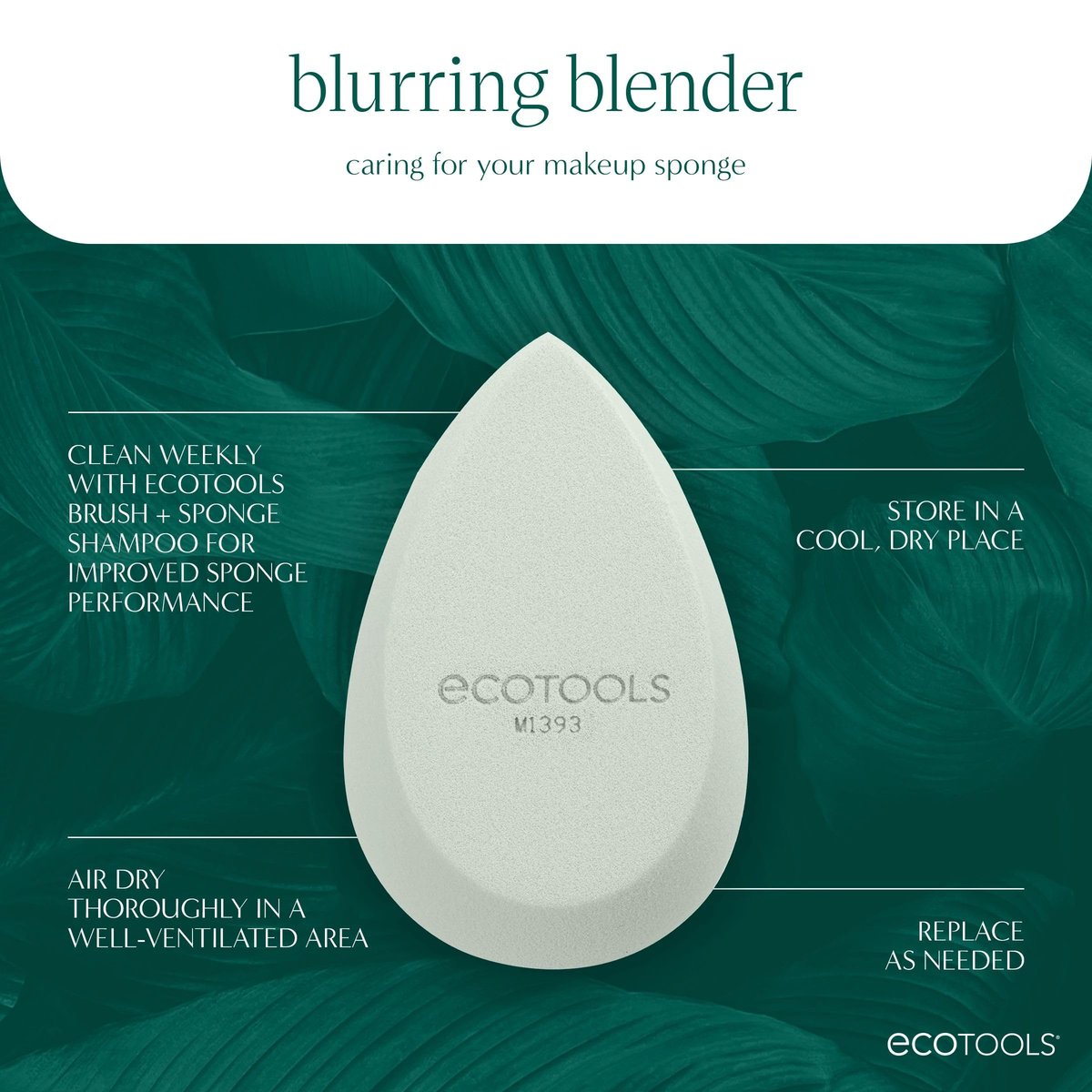 EcoTools Blend + Blur Makeup Brush and Sponge Duo - Eco-Friendly Foundation Brush & Latex-Free Blender for Liquid & Cream Makeup, Vegan & Cruelty Free, 2 Piece Set Avelisse