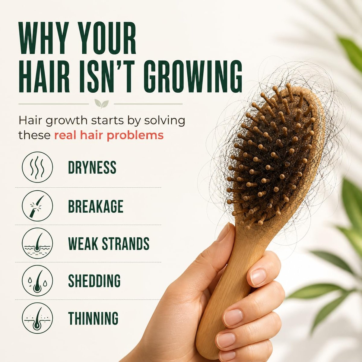 Vitamo 100% Organic Batana Natural Hair Growth Oil – Pure Elaeis Oleifera, Cold Pressed, Dr. Sebi Inspired Scalp & Hair Shine Treatment for Men and Women (4 Fl Oz) Avelisse