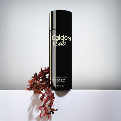 Caldera + Lab The Face SPF 30 - No White Cast Mineral Sunscreen, 1.69 Fl Oz Avelisse