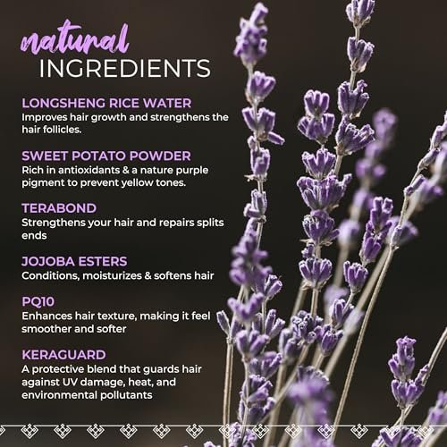 Viori Purple Shampoo Bar - Handcrafted with Longsheng Rice Water & Natural Ingredients - Neutralizes Brassy Tones in Blonde, Silver, and Gray Hair - All Natural Solid Shampoo Avelisse