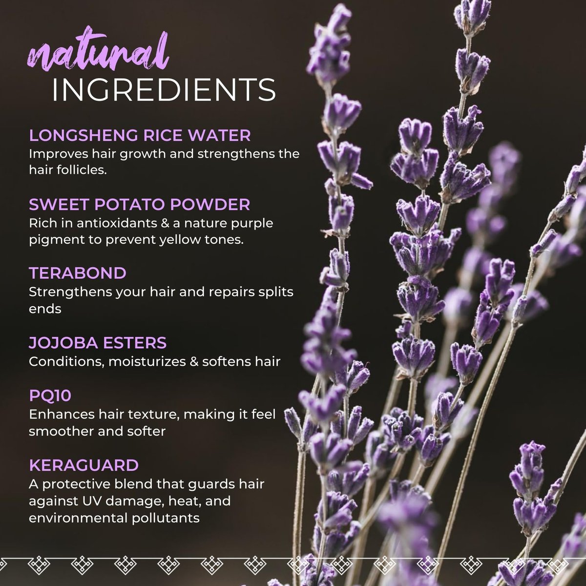 Viori Purple Shampoo Bar - Handcrafted with Longsheng Rice Water & Natural Ingredients - Neutralizes Brassy Tones in Blonde, Silver, and Gray Hair - All Natural Solid Shampoo Avelisse