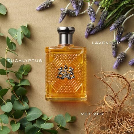 RALPH LAUREN Safari Eau de Toilette for Men - Woody Fresh Cologne with Eucalyptus, Lavender & Vetiver - 4.2 Fl Oz Avelisse