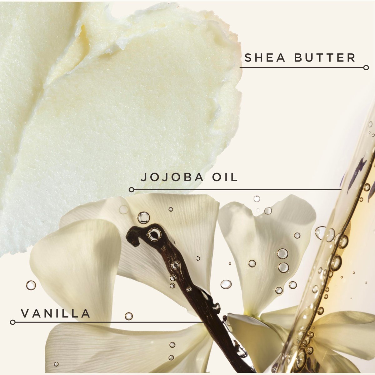 Carol's Daughter Black Vanilla Moisture and Hold Jelly, Hair Gel for Dry Hair with Shea Butter, Jojoba and Vanilla, 12 Fl Oz Avelisse