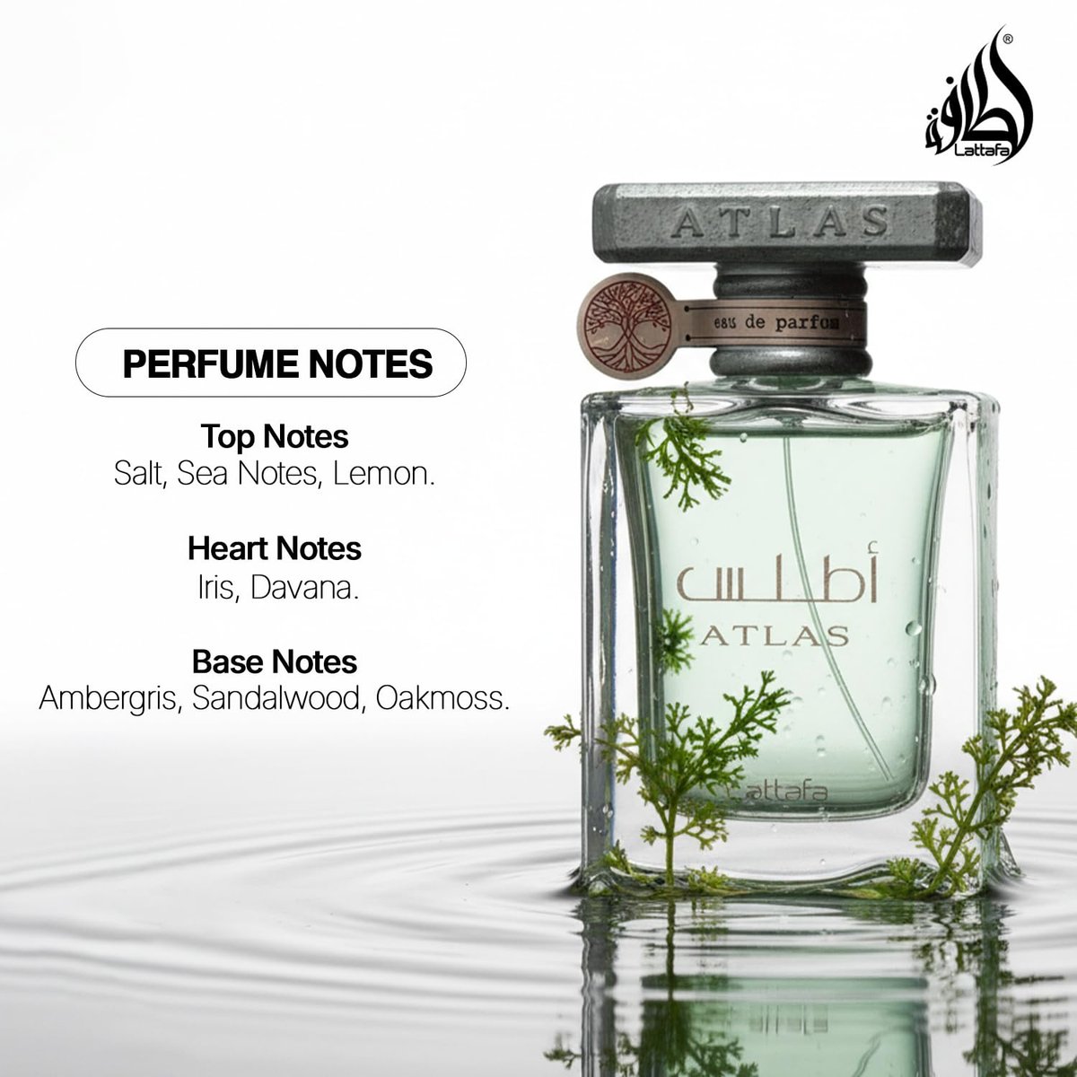 Lattafa Atlas Eau de Parfum Spray for Unisex, 1.85 oz – Long-Lasting Oriental Fragrance - görsel 7