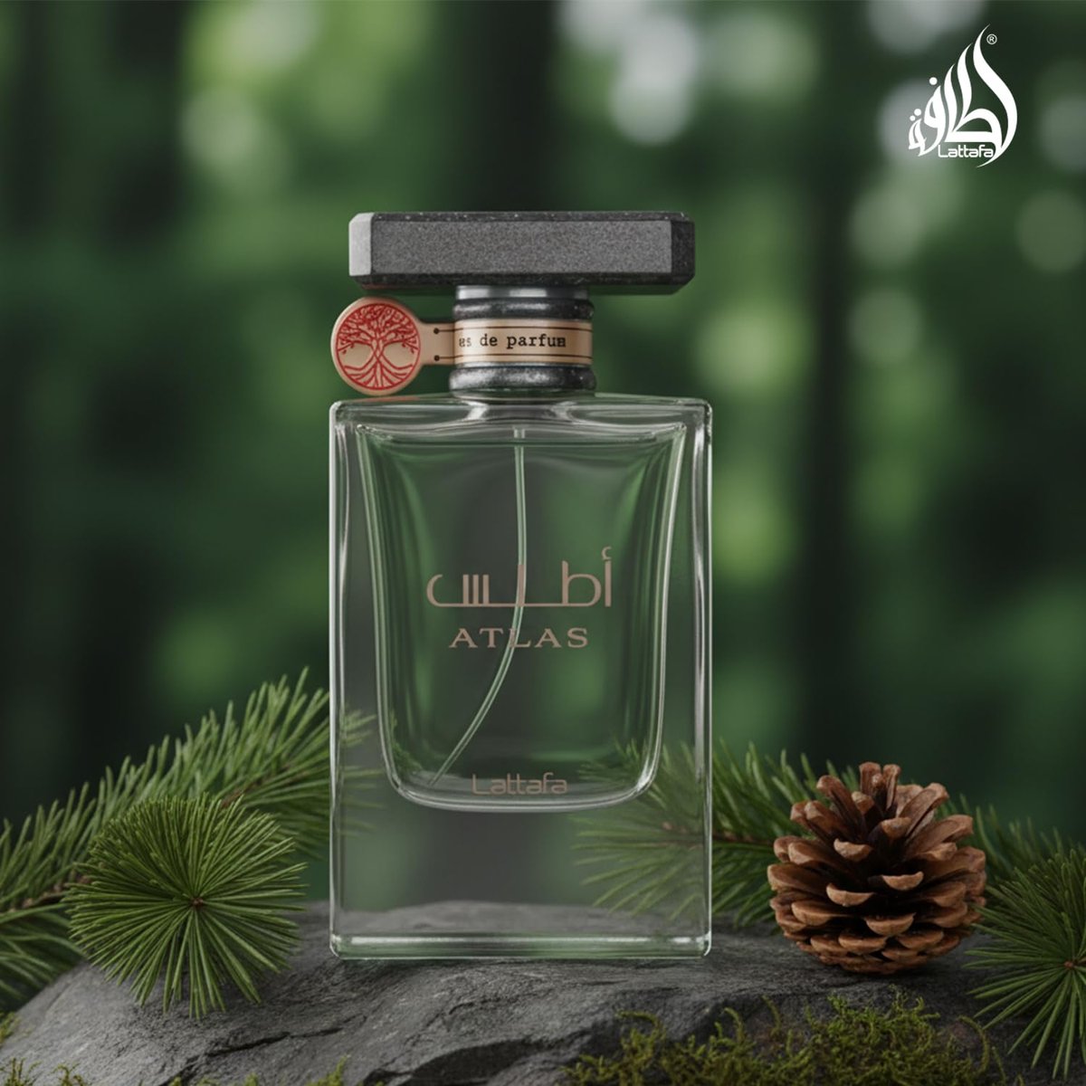 Lattafa Atlas Eau de Parfum Spray for Unisex, 1.85 oz – Long-Lasting Oriental Fragrance - görsel 11
