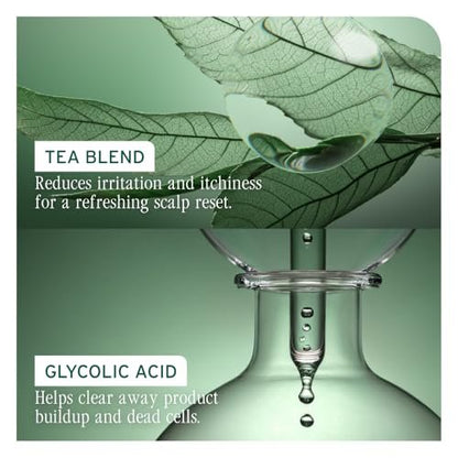 Biolage Scalp Sync Purifying Concentrate - Exfoliating & Clarifying Dry Scalp Treatment with Fermented Tea Blend & Glycolic Acid, 6.8 Fl Oz Avelisse