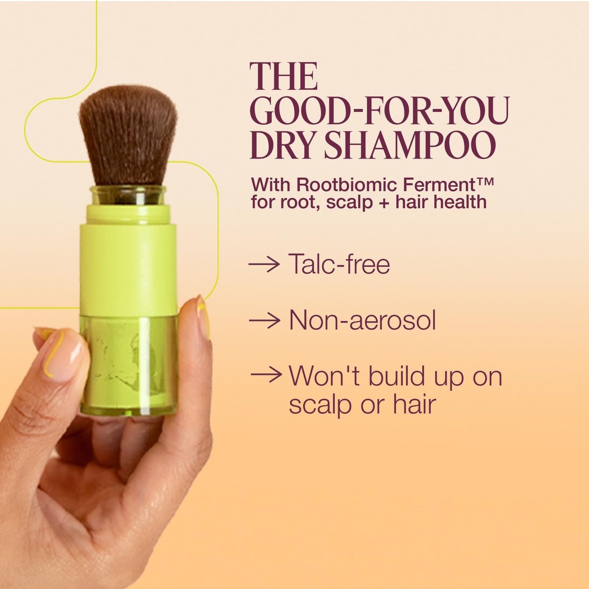 THE ROOTIST Clarify Dry Shampoo Powder - Talc Free, Tinted, 0.17 oz Avelisse
