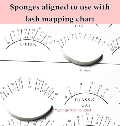 LEES A.M. Lash Mapping Chart for Eyelash Extension Training – Beginner Practice Sheet with Curl and Diameter Guide