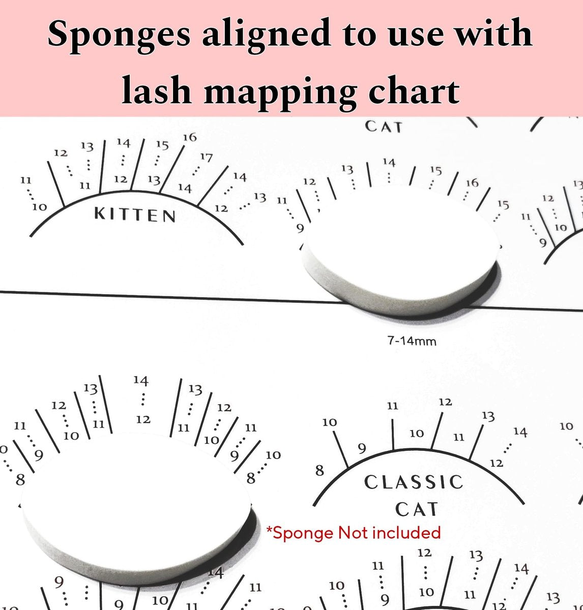 LEES A.M. Lash Mapping Chart for Eyelash Extension Training – Beginner Practice Sheet with Curl and Diameter Guide - görsel 7