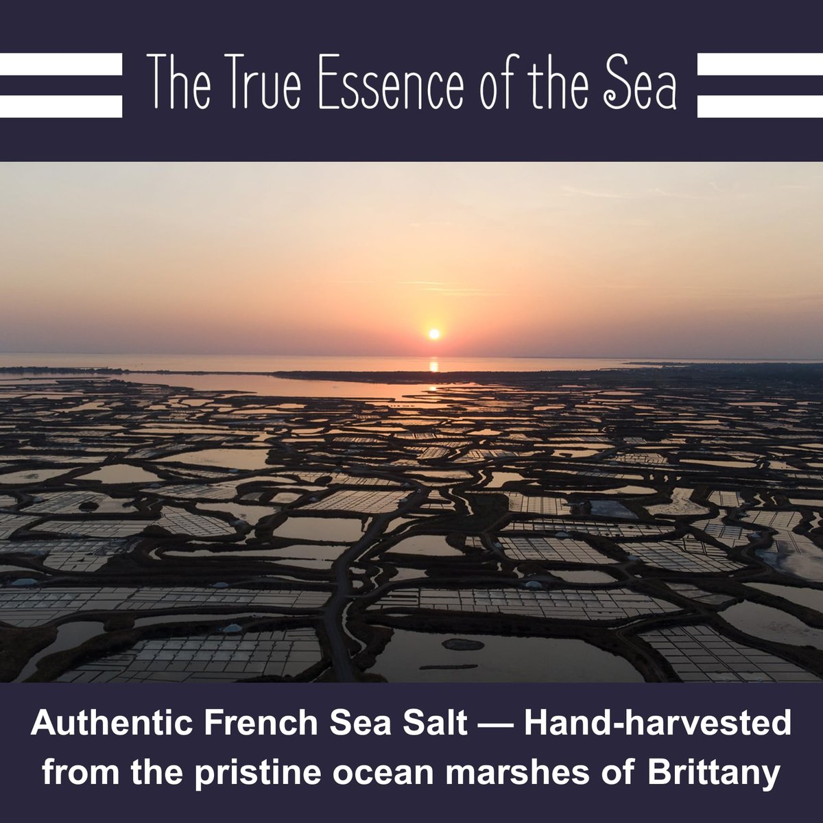 Le Marinier French Sea Salt Extra Fine, 8.81 oz – Organic Celtic Salt, 100% Natural, Mineral Rich, Unrefined, Hand Harvested - görsel 5