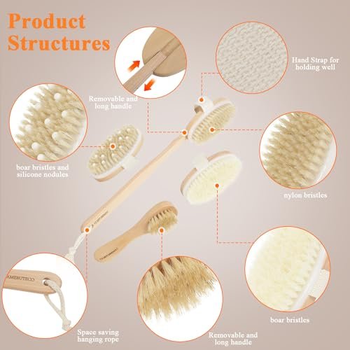 SAMEBUTECO Dry Brushing Body Brush Set with Long Handle – Natural Boar Bristle Body & Face Brush, Wooden Detachable Scrub Brush, 3 Brush Heads for Exfoliating & Body Care - görsel 8