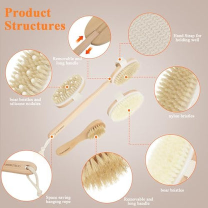 SAMEBUTECO Dry Brushing Body Brush Set with Long Handle – Natural Boar Bristle Body & Face Brush, Wooden Detachable Scrub Brush, 3 Brush Heads for Exfoliating & Body Care