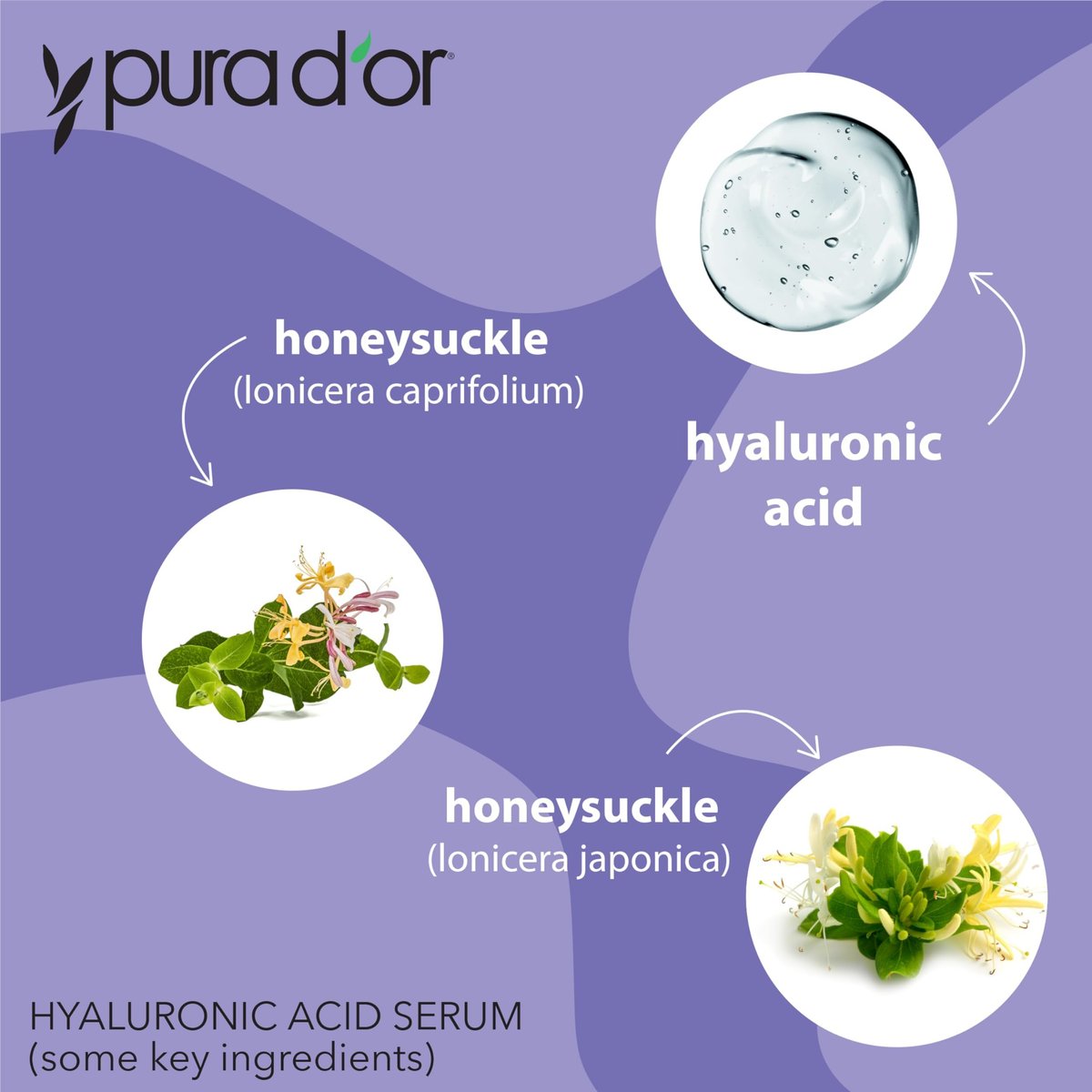 PURA D'OR Hyaluronic Acid Serum 3.3 oz – Deep Hydration Anti-Aging Facial Serum for Smooth, Plump Skin Avelisse