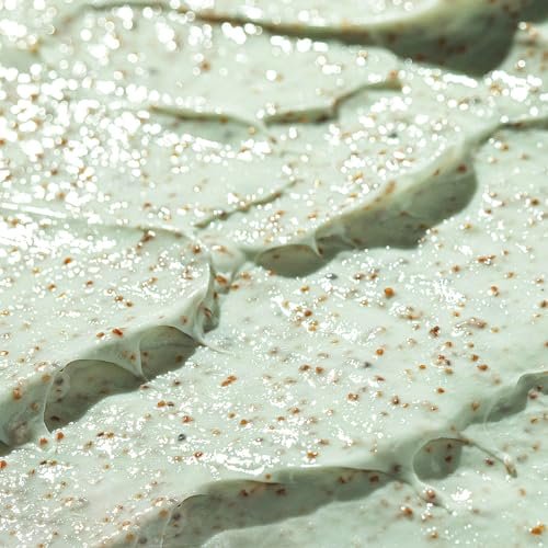 Berlaney Armpit Detox and Scrub with Shea Butter and Coconut - Exfoliating Body Scrub for Odor Removal, Deep Cleansing, and Smooth Skin (8.8 oz) Avelisse