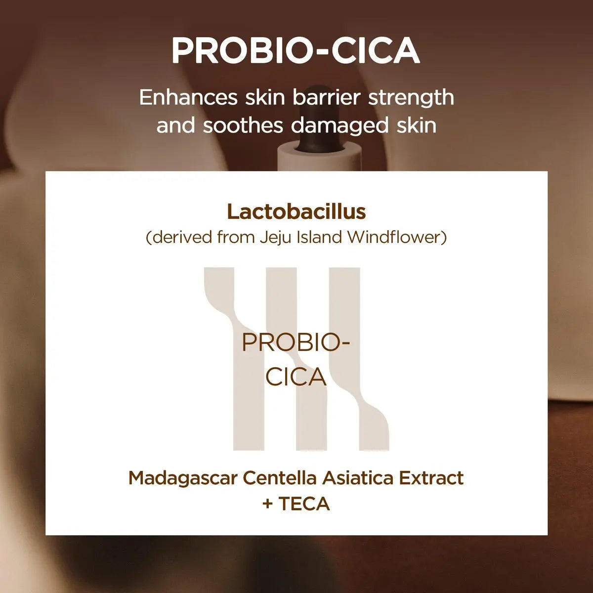 SKIN1004 Probio Cica Intensive Ampoule - Centella Serum with Ceramide for Nourishing & Soothing, 3.21 fl oz (95ml) Avelisse