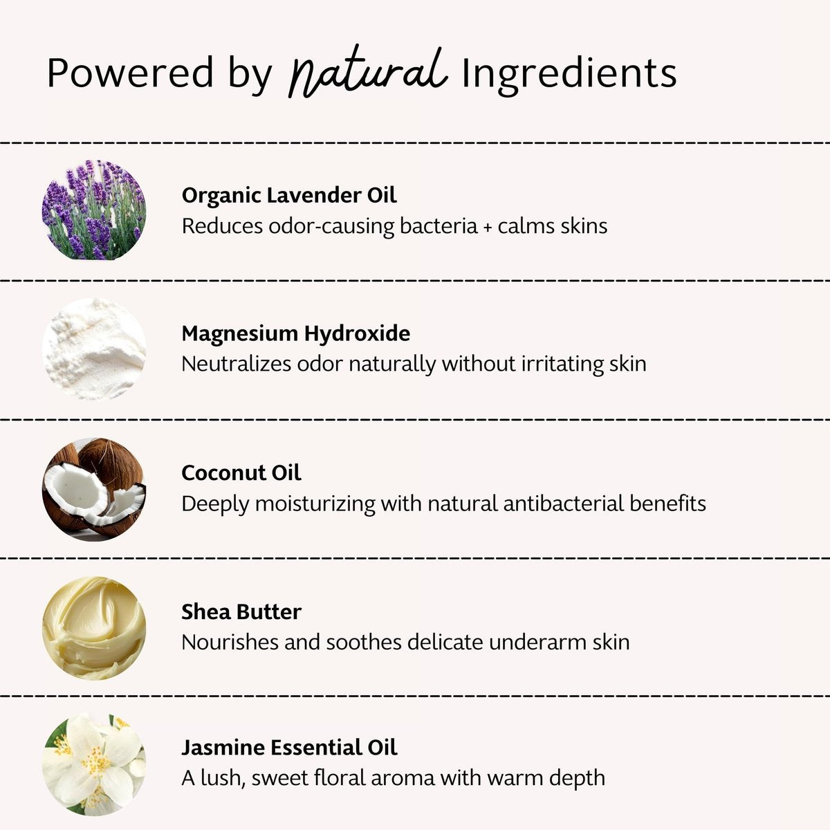 Slo Natural Deodorant - Lavender + Jasmine, All Natural Ingredients, Vegan & Cruelty Free, 1.94 oz - görsel 7